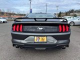 Used 2019 Ford Mustang Premium w/ Ecoboost Performance Package image 6