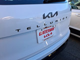 New 2025 Kia Telluride SX Prestige X-Line image 5