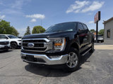 Used 2023 Ford F150 XLT image 2