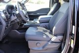New 2025 Ford F150 STX image 4