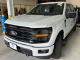 New 2025 Ford F150 XLT image 3