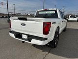 New 2025 Ford F150 STX image 5
