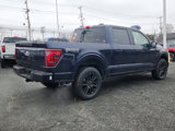 New 2025 Ford F150 Platinum w/ Equipment Group 702A High image 4