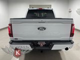 New 2025 Ford F150 XLT w/ Equipment Group 303A High image 5