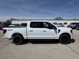 New 2025 Ford F150 XLT image 2