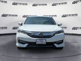 Used 2017 Honda Accord Sport image 2