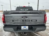 New 2025 Ford F150 XLT w/ Equipment Group 302A MID image 4