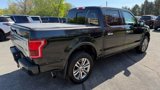 Used 2015 Ford F150 Platinum w/ Equipment Group 701A Luxury image 5
