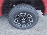 New 2025 Ford F250 Platinum image 4