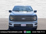 New 2025 Ford F150 XLT w/ Equipment Group 301A Standard image 2
