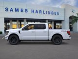 New 2025 Ford F150 XLT w/ Equipment Group 303A High image 3