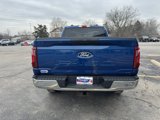 New 2025 Ford F150 XL w/ Equipment Group 103A High image 4