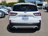 Used 2022 Ford Escape SE w/ Convenience Package image 5