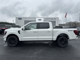 New 2025 Ford F150 Platinum image 4