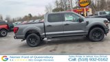 New 2025 Ford F150 STX w/ STX Black Appearance Package image 4
