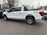 New 2025 Ford F150 XLT w/ Equipment Group 301A Standard image 3