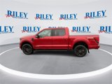 New 2025 Ford F150 XLT w/ Equipment Group 302A MID image 5