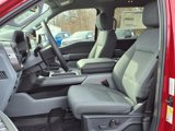 New 2025 Ford F150 XLT w/ Equipment Group 302A MID image 4
