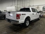 Used 2016 Ford F150 XLT image 4