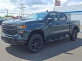 New 2025 Chevrolet Silverado 1500 Custom Trail Boss w/ Turbomax Blackout Package image 2