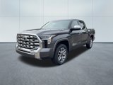New 2025 Toyota Tundra 1794 Edition image 2