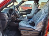 New 2025 Ford F150 XLT image 5