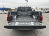 New 2025 Ford F150 STX w/ Equipment Group 200A image 5