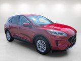 Used 2020 Ford Escape SE image 3
