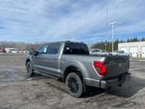 New 2025 Ford F150 XLT w/ Equipment Group 302A MID image 6