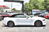 Used 2019 Ford Mustang GT Premium w/ Equipment Group 401A image 2