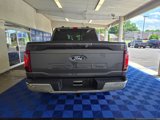 New 2025 Ford F150 XLT w/ Equipment Group 302A MID image 5