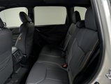 New 2025 Subaru Forester Wilderness image 4
