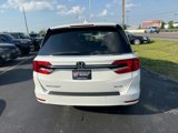 Used 2023 Honda Odyssey Elite image 4