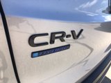 New 2026 Honda CR-V Sport-L image 3