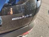 Used 2024 Hyundai Tucson SEL image 5