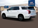 New 2025 Hyundai Palisade Calligraphy image 4