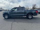 Certified 2021 Ford F150 XLT w/ Equipment Group 302A High image 2