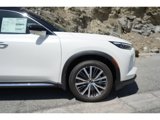 New 2025 INFINITI QX60 Autograph w/ Cargo Package image 3