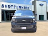 New 2025 Ford Expedition Platinum image 2