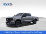 New 2025 Ford F250 Platinum w/ FX4 Off-Road Package image 1