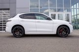 New 2025 Alfa Romeo Stelvio Tributo Italiano w/ Driving Assist Package image 4