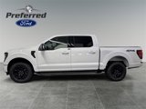 New 2025 Ford F150 XLT w/ Equipment Group 302A MID image 2