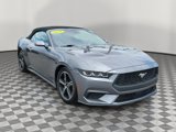 Certified 2024 Ford Mustang Premium image 4