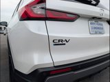 New 2026 Honda CR-V Sport-L image 6