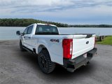 New 2025 Ford F250 XL image 5