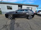 Used 2022 Lexus UX 250h w/ Premium Package image 4