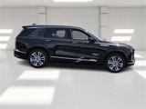 New 2026 Cadillac Vistiq Luxury image 6
