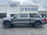 New 2025 Ford F350 Platinum image 2