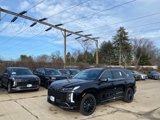 New 2025 Hyundai Palisade Calligraphy image 3