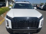 New 2025 Hyundai Palisade XRT image 6